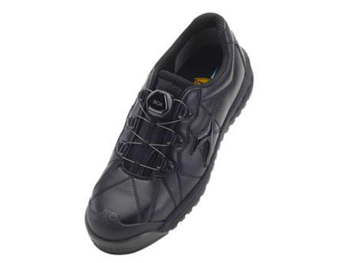 ディアドラ FINCH